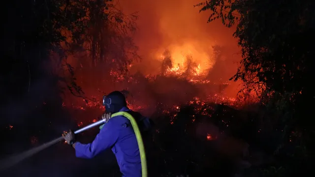Indonesia Wildfires