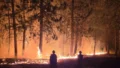Spokane Wildfire Arson Arrest After Old Trails Fire