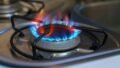 Ethanol Cooking Fuel in India: Govt Says No Plan Yet