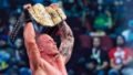 Kyle Fletcher AEW Future: International Champion Set for Major HOG Fallout Appearance and Grand Slam Mexico Defense