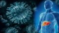 India’s National Viral Hepatitis Control Programme: Accelerating the Elimination of Hepatitis by 2030