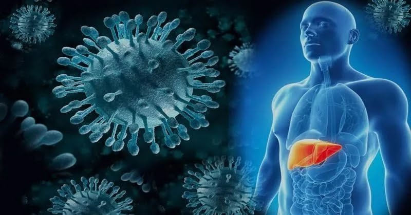 India’s National Viral Hepatitis Control Programme: Accelerating the Elimination of Hepatitis by 2030