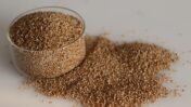 Iron- and Zinc-Fortified Pearl Millet Found Safe for Toddlers’ Gut Health: What the New Study Means for Child Nutrition in India