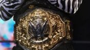 Mahabali Shera Knocks Out Jake Hager at Power Slap, Reveals Emotional Post-Fight Exchange