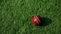 Former Australia Cricketer Aaron Summers Jailed for Abusing Teenage Fan