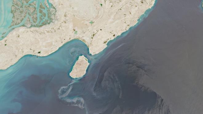 Major Oil Spill Threatens Hara Mangrove Forests in the Persian Gulf