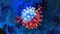 COVID-19 May Awaken Dormant Viruses and One Is Linked to Long COVID