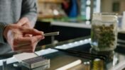 Cannabis Use in Your 20s and 30s Linked to Earlier Psychosis: Why Age Alone May Not Make It Safer