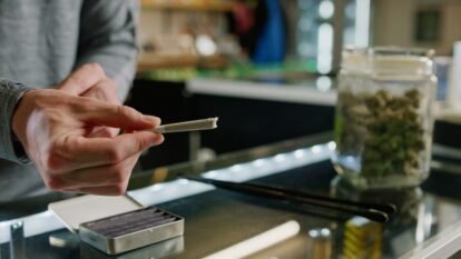 Cannabis Use in Your 20s and 30s Linked to Earlier Psychosis: Why Age Alone May Not Make It Safer