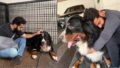 Jr NTR’s Beloved Dog Bagheera Dies at Four: Actor Shares Heartbreaking Memories