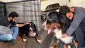 Jr NTR’s Beloved Dog Bagheera Dies at Four: Actor Shares Heartbreaking Memories
