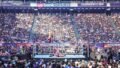 39-Year-Old WWE Superstar Gunther Launches Official YouTube Channel