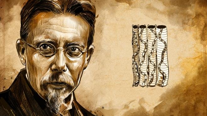 August Krogh’s Nobel-Winning Discovery: How Capillaries Help Muscles Get Enough Oxygen