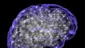 Lead Exposure May Disrupt Brain Cells’ Waste-Clearing System: What the ICMR-NIN Study Reveals