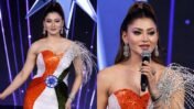 Urvashi Rautela’s Tiranga-Inspired Gown Sparks Legal Debate: What Indian Flag Rules Actually Say