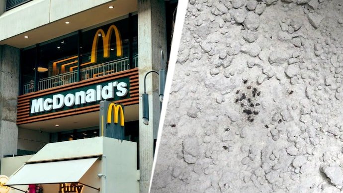 maharashtra fda suspends licences mcdonalds