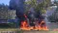 F-16 Crash in Michigan: Pilot Ejects Safely During Training