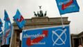 AfD Wins 43.8% in Saxony-Anhalt but Falls Short of Majority