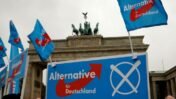 AfD Wins 43.8% in Saxony-Anhalt but Falls Short of Majority
