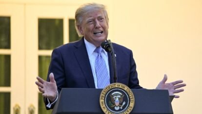 Trump announces plans for new AI czar