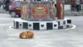 WHO Validates Bhutan’s Rabies-Free Status: How the Country Eliminated Dog-Transmitted Human Rabies