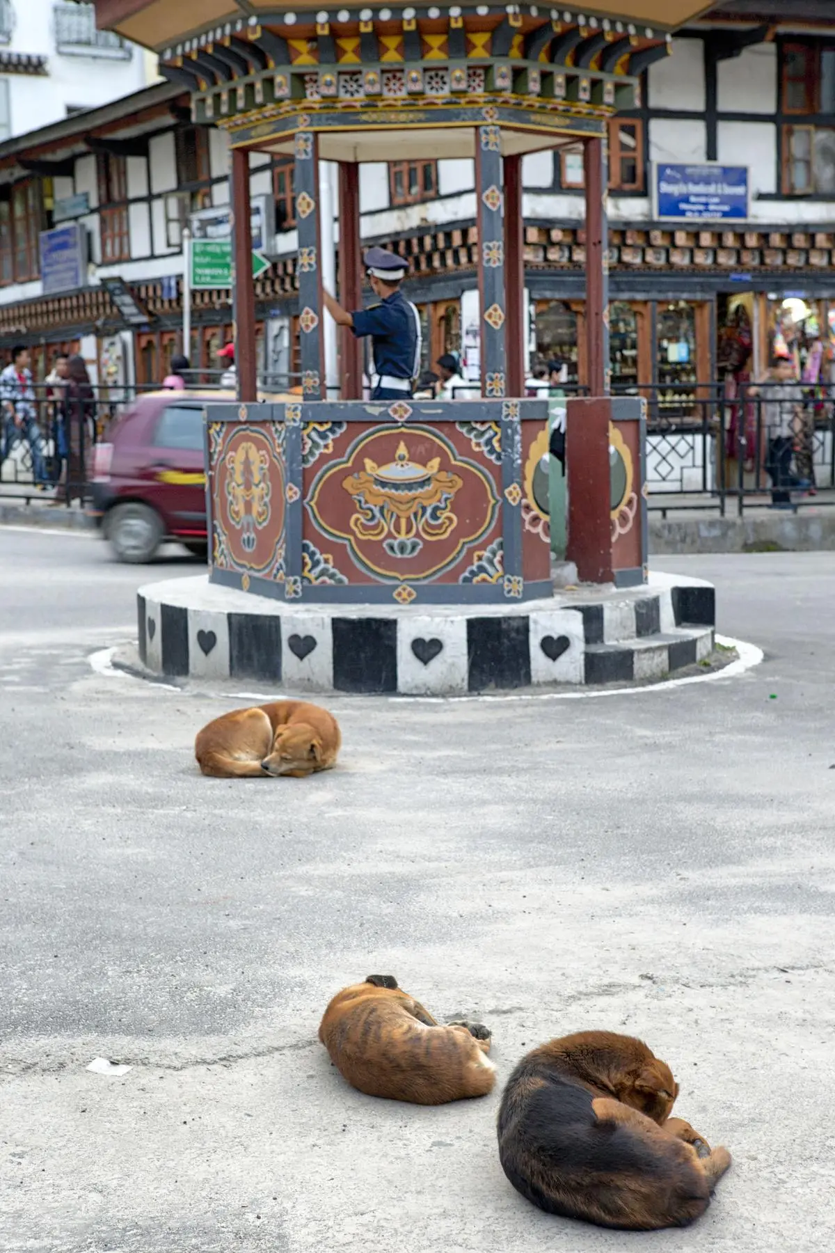 WHO Validates Bhutan’s Rabies-Free Status: How the Country Eliminated Dog-Transmitted Human Rabies
