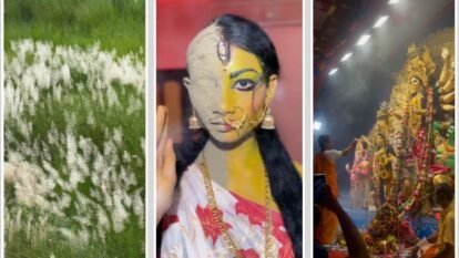 34 Days to Mahalaya: Five Instagram Reels That Capture Kolkata's Durga Puja Countdown