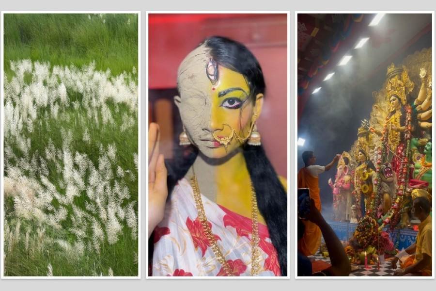 34 Days to Mahalaya: Five Instagram Reels That Capture Kolkata's Durga Puja Countdown