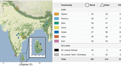 South Asian Gut Microbiomes Follow Distinct Paths as Urbanization Changes Diet and Lifestyle, Study Finds