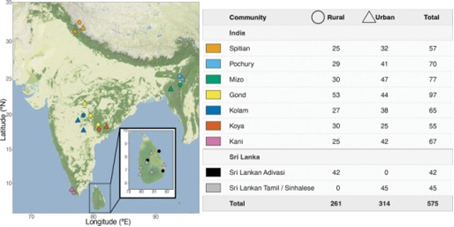 South Asian Gut Microbiomes Follow Distinct Paths as Urbanization Changes Diet and Lifestyle, Study Finds