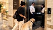 Dogs, Lifts and Society Drama: The Daily Reality of Indian Pet Owners