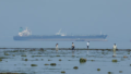 India’s Russian Oil Imports Fall 16.5% in August