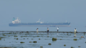India’s Russian Oil Imports Fall 16.5% in August