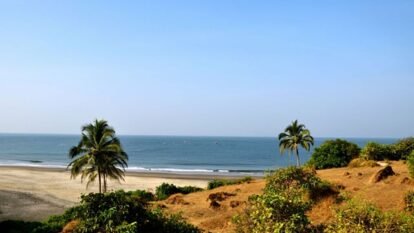 IPL Auction History: 3 Famous Indian Tourist Destinations That Hosted the Event