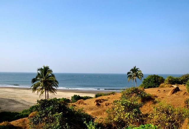 IPL Auction History: 3 Famous Indian Tourist Destinations That Hosted the Event