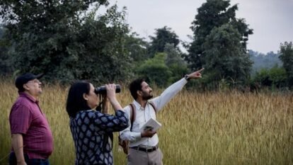 Bandhavgarh Tiger Tourism: Inside the Forests and Responsible Safari Travel