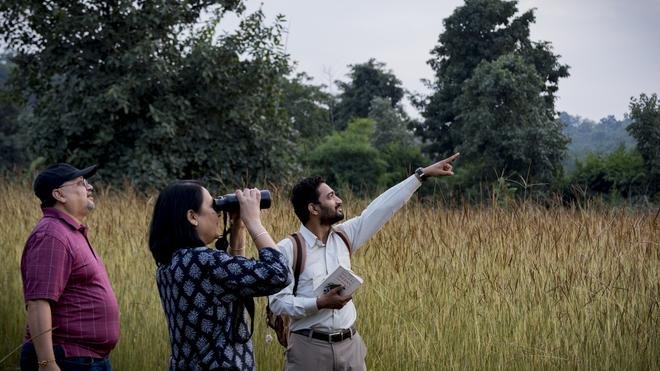 Bandhavgarh Tiger Tourism: Inside the Forests and Responsible Safari Travel