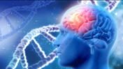 Brain Health Myths: Neurologist on Sleep, Stress, Alcohol and More