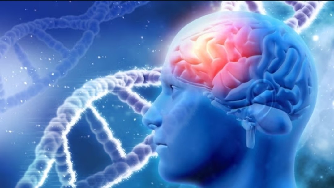 Brain Health Myths: Neurologist on Sleep, Stress, Alcohol and More