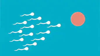5 Common Myths About Male Fertility and Semen Health Busted