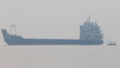 Strait of Hormuz Transits Hit Lowest Level in Two Months