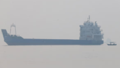 Strait of Hormuz Transits Hit Lowest Level in Two Months