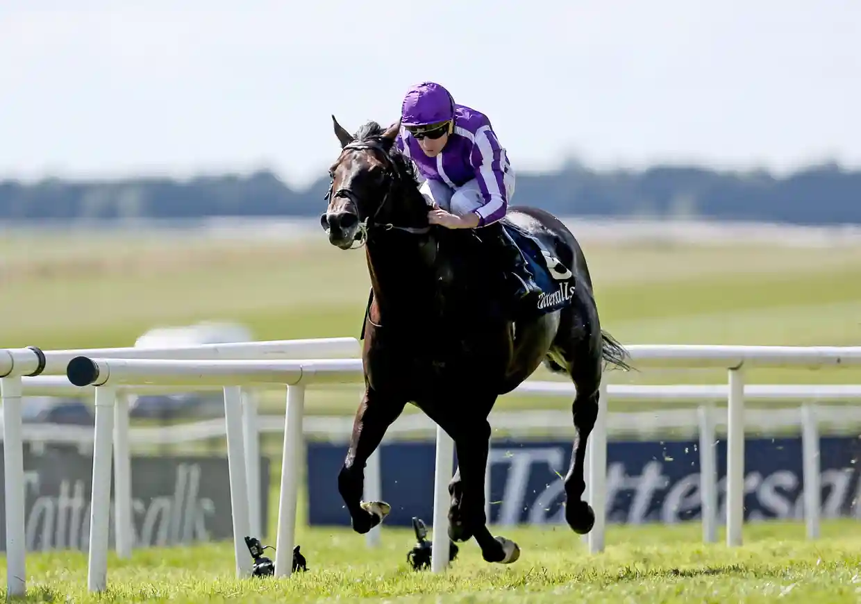 Weekend Sports Schedule: Premier League, Boxing and Racing