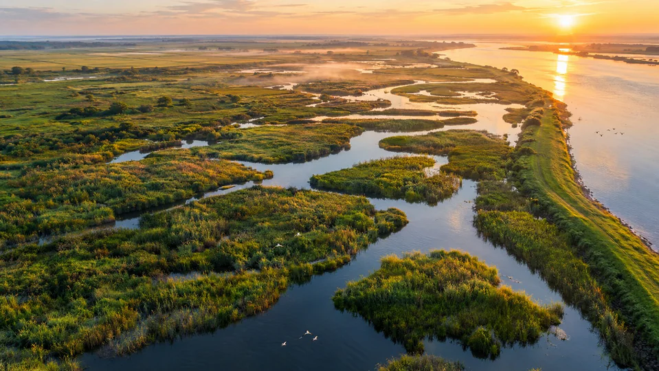 California Restores 1,187 Acres to Protect Young Salmon