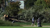 Trump Plans 15-Month Closure of Historic DC Golf Course