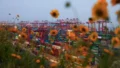 China GDP Growth Hits 4.5% in Third Quarter of 2026