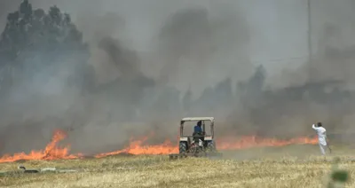 Stubble Burning in India: Why Farmers Burn Straw