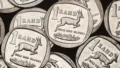 South African Rand Steady Ahead of Budget and Inflation Data