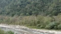 NHPC Project: 23.4 Lakh Trees at Risk in Arunachal
