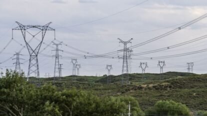 Haryana Power Strike: 40,000 Employees Protest Private Discom